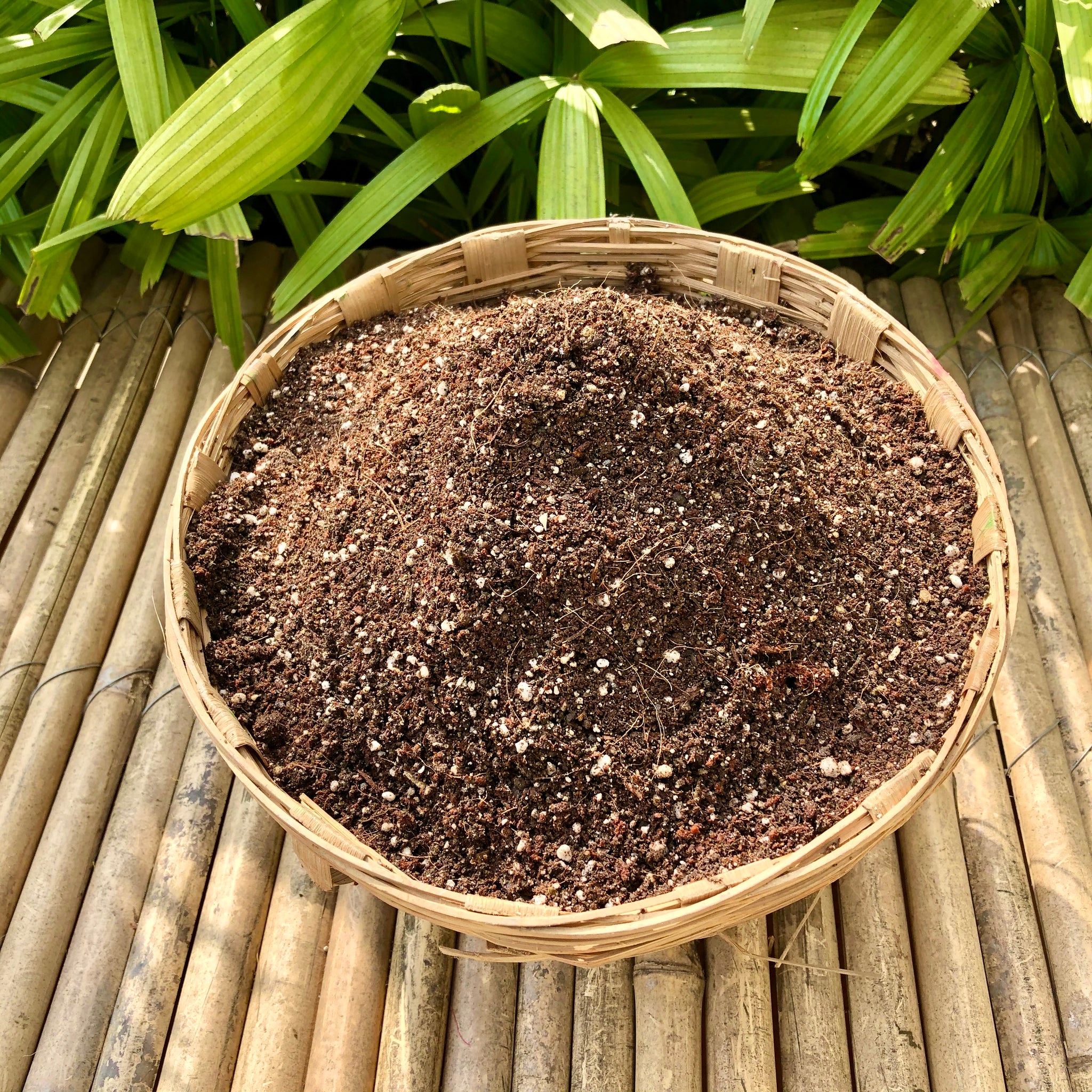 Potting Soil Mix for Cactus and Succulent plants – kg